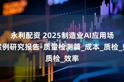 永利配资 2025制造业AI应用场景案例研究报告-质量检测篇_成本_质检_效率