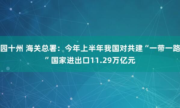 园十州 海关总署：今年上半年我国对共建“一带一路”国家进出口11.29万亿元
