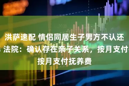 洪萨速配 情侣同居生子男方不认还拒抚养 法院：确认存在亲子关系，按月支付抚养费