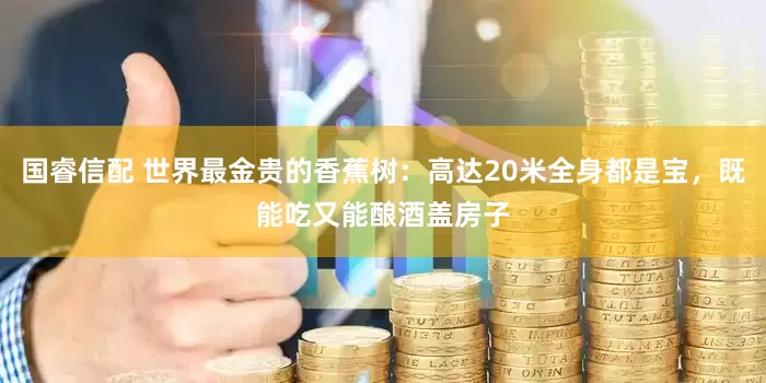国睿信配 世界最金贵的香蕉树：高达20米全身都是宝，既能吃又能酿酒盖房子